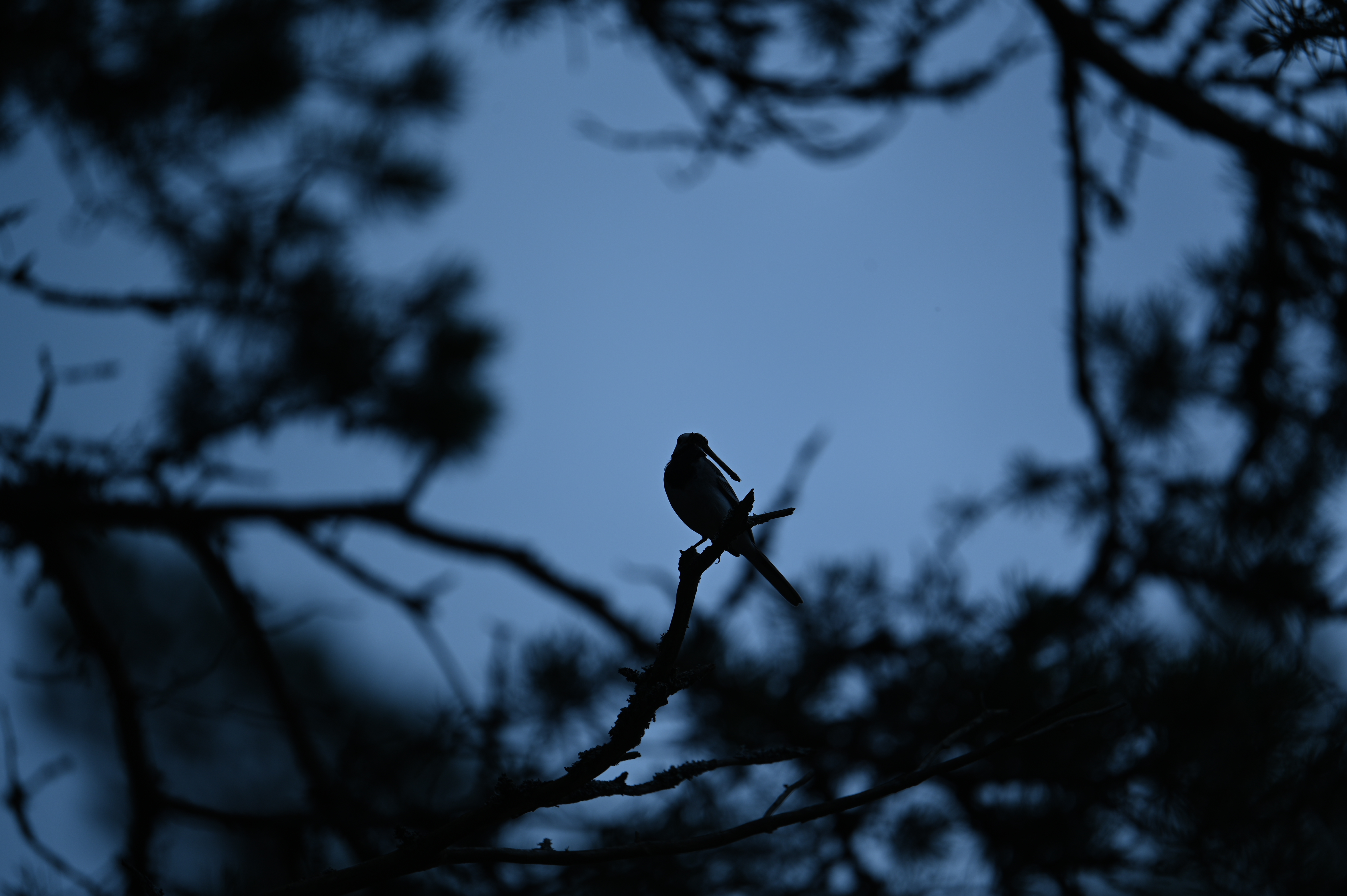 2025/07/09-14 - trip/DSC_0384.JPG